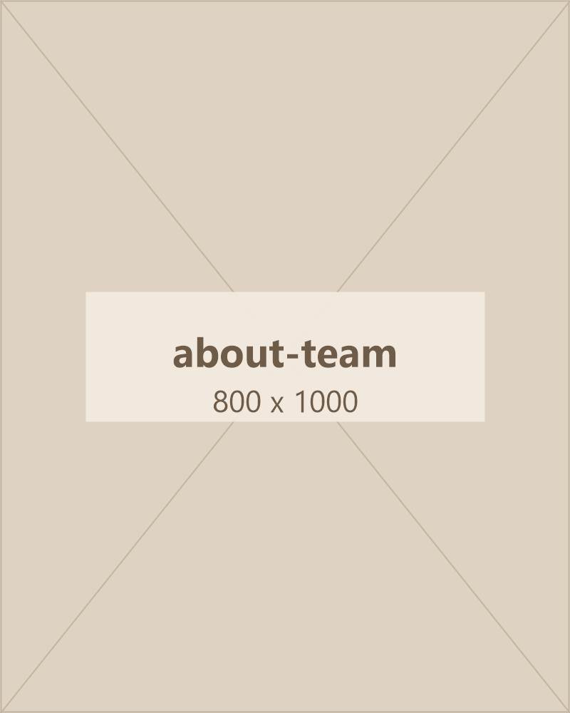 Our team